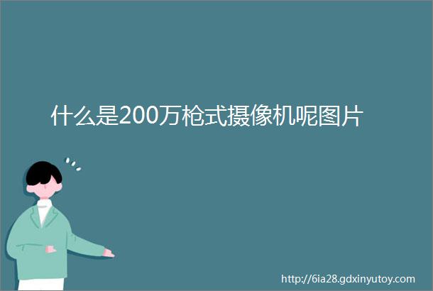 什么是200万枪式摄像机呢图片